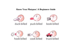 know your platypus